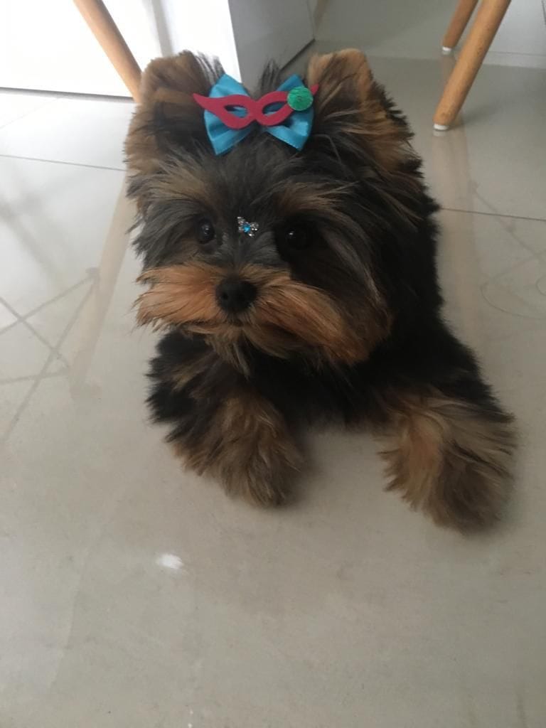 WhatsApp Image 2021-12-20 at 12.39.00 PM (1)