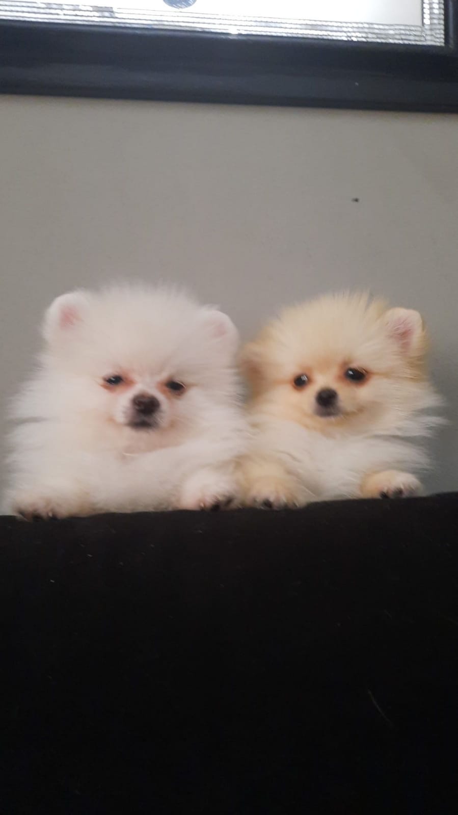 WhatsApp Image 2021-12-20 at 12.39.00 PM