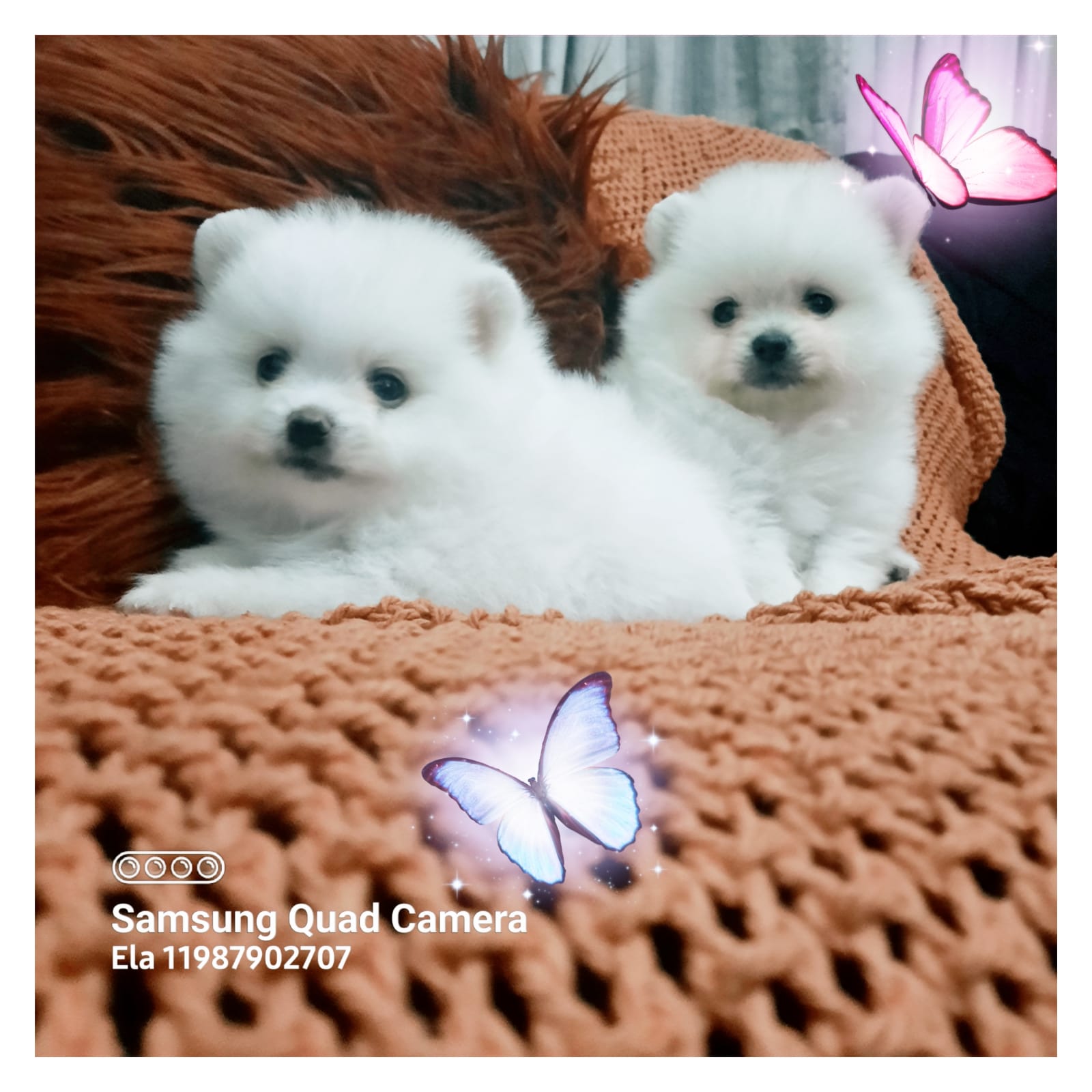 WhatsApp Image 2021-12-20 at 12.41.08 PM