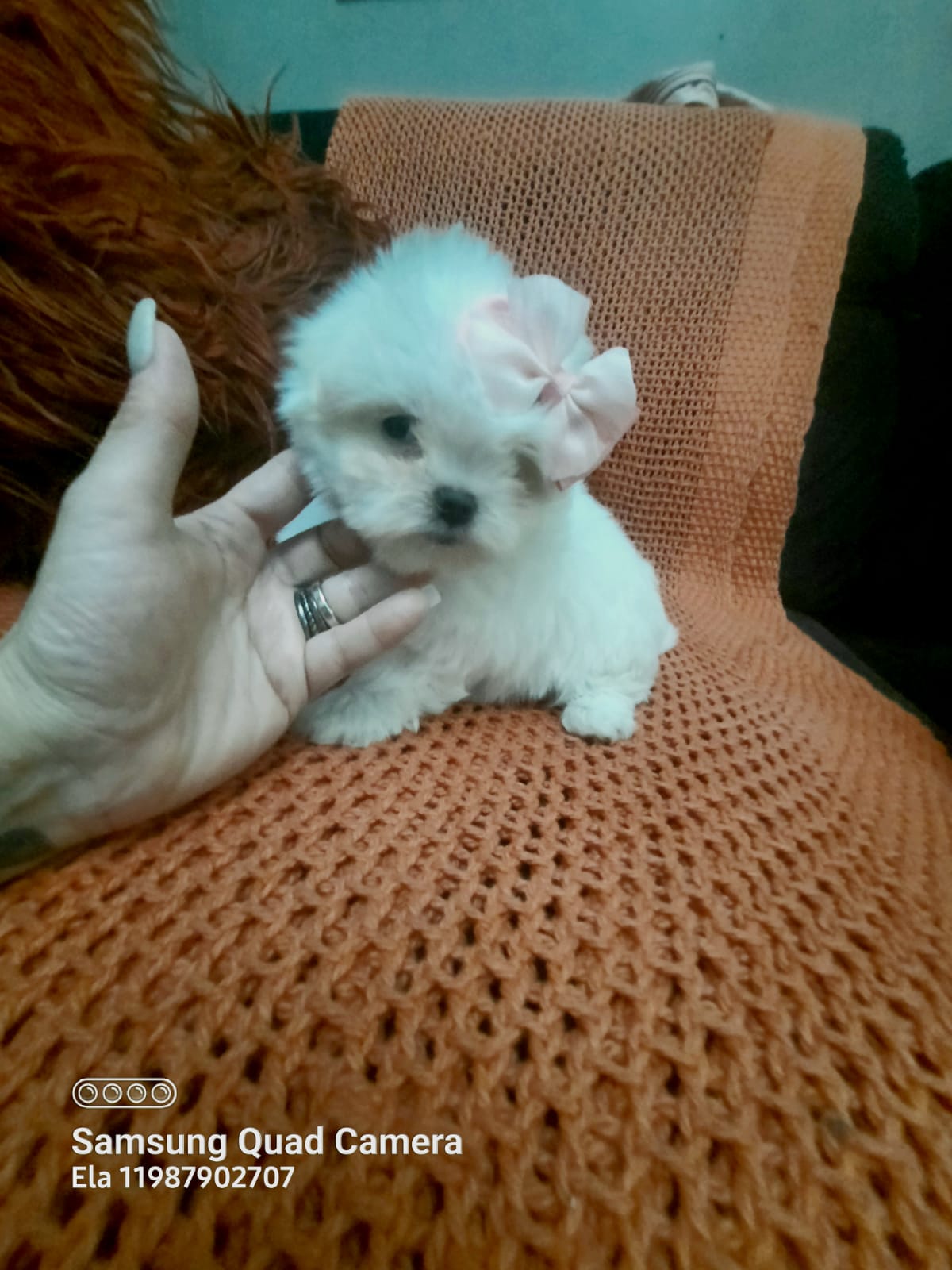 WhatsApp Image 2021-12-20 at 12.45.19 PM (1)