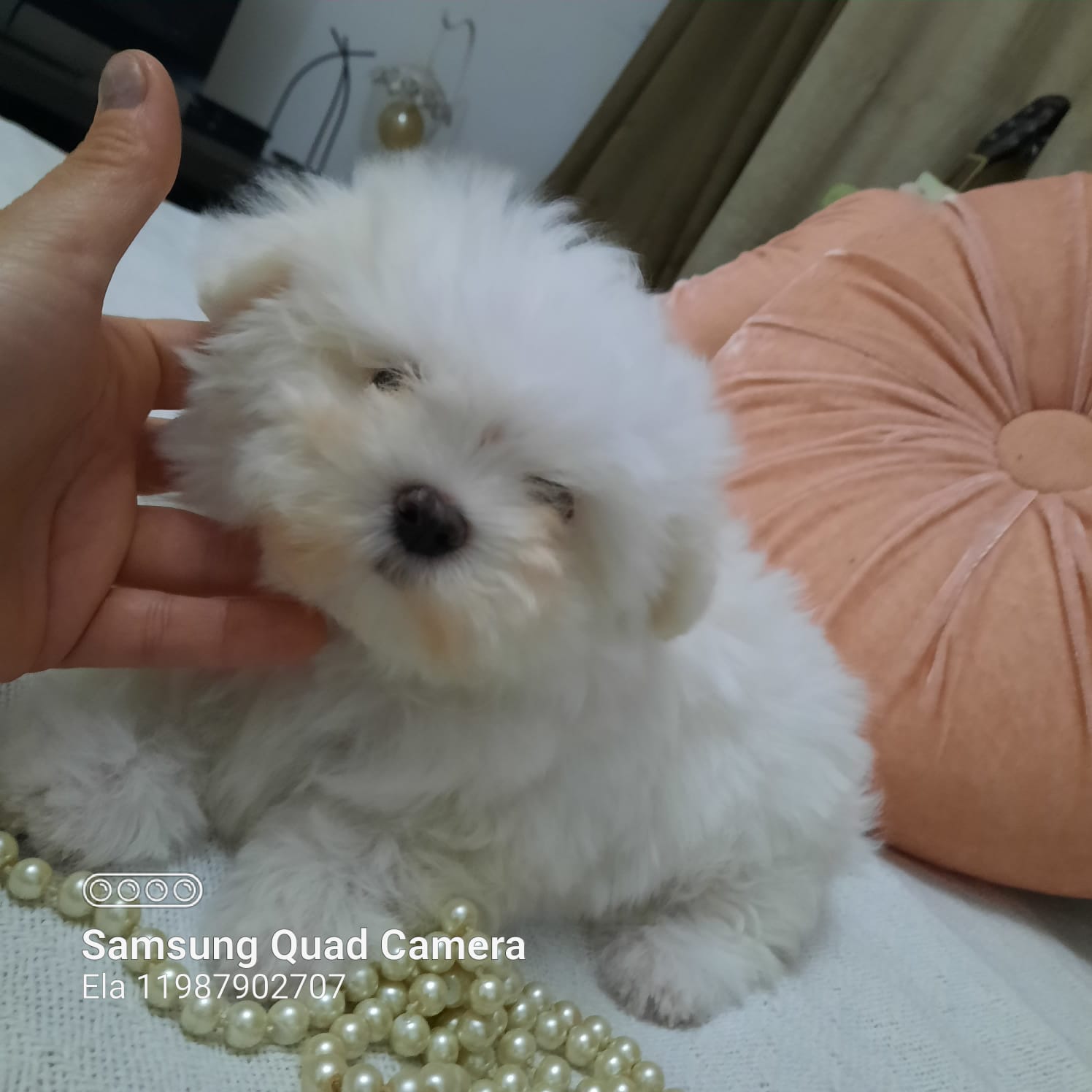 WhatsApp Image 2021-12-20 at 12.45.28 PM (1)