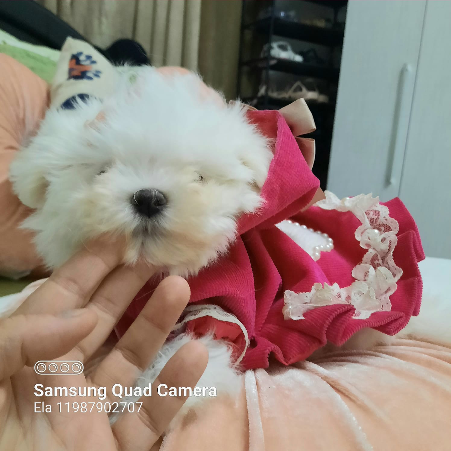 WhatsApp Image 2021-12-20 at 12.45.28 PM (2)