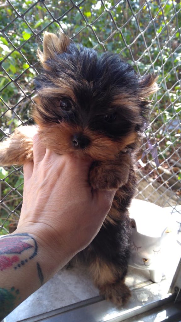 WhatsApp Image 2021-12-20 at 12.50.07 PM