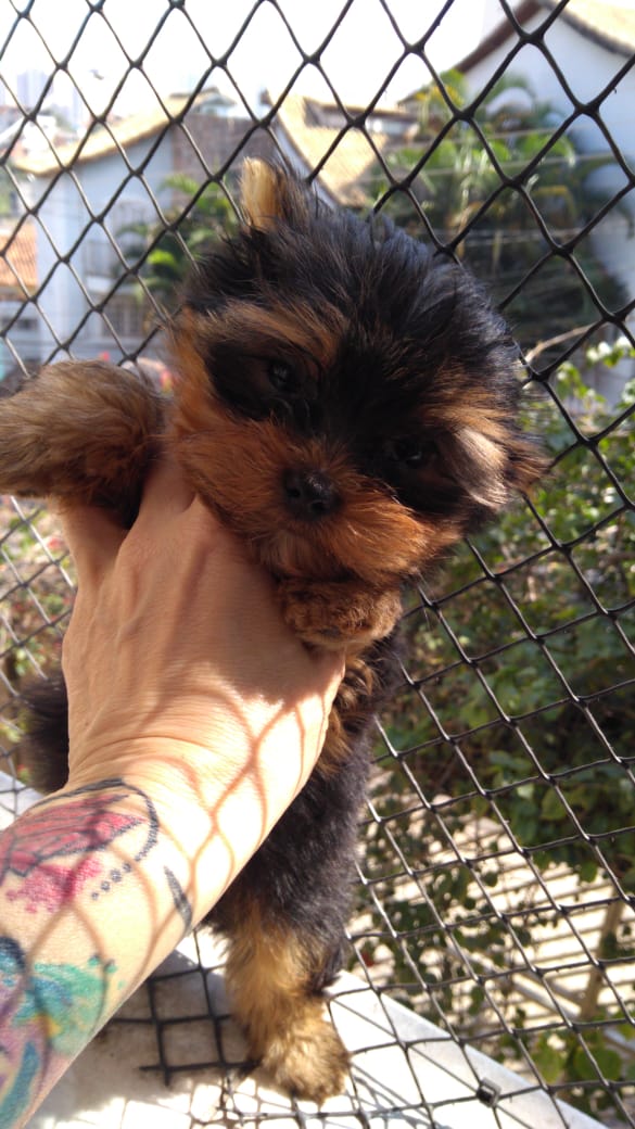 WhatsApp Image 2021-12-20 at 12.50.10 PM