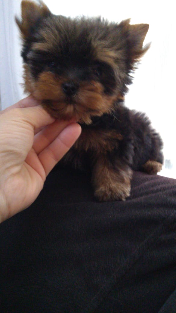 WhatsApp Image 2021-12-20 at 12.50.14 PM (1)