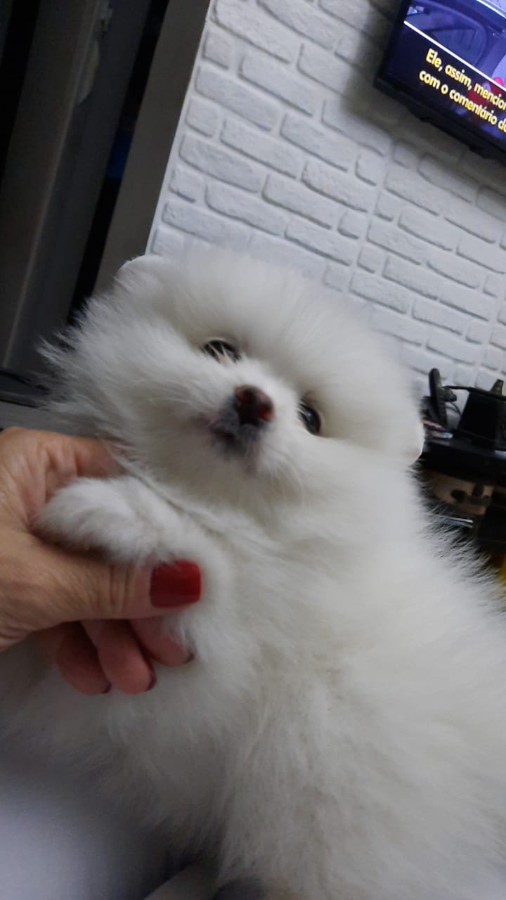 WhatsApp Image 2021-12-20 at 12.50.23 PM