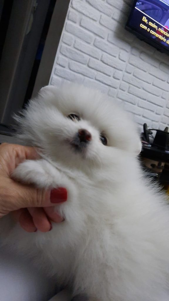 WhatsApp Image 2021-12-20 at 12.50.23 PM