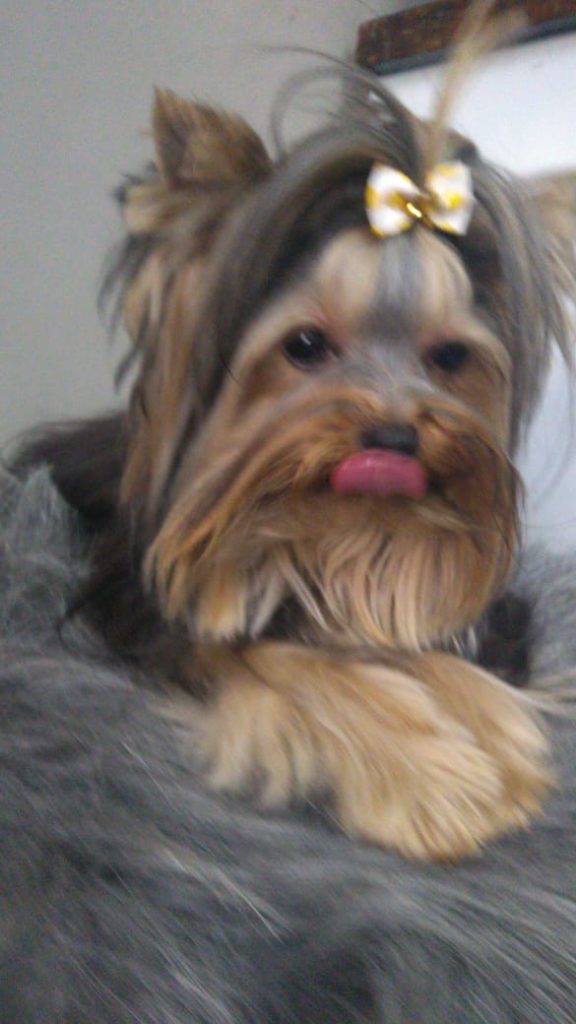 WhatsApp Image 2021-12-20 at 12.52.51 PM (1)