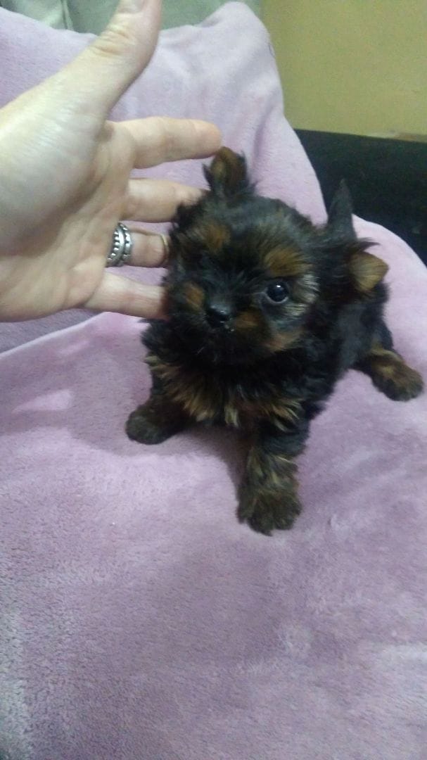 WhatsApp Image 2021-12-20 at 12.53.09 PM (1)