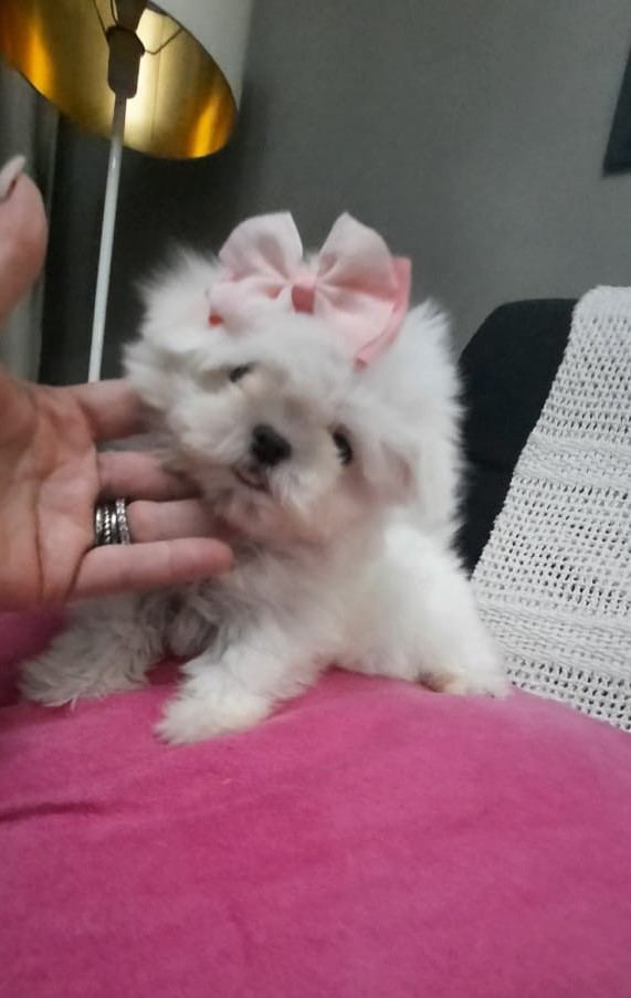 658D65D721FC20640DAF397A80D8C230 (2)